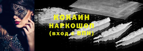 стаф Новозыбков