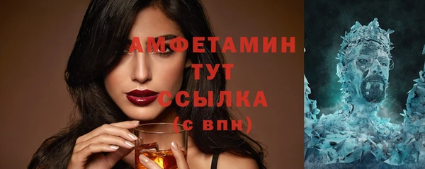 стаф Новозыбков