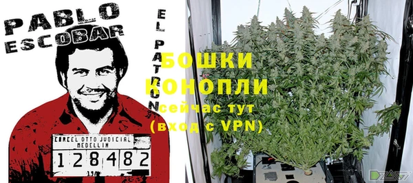 стаф Аркадак