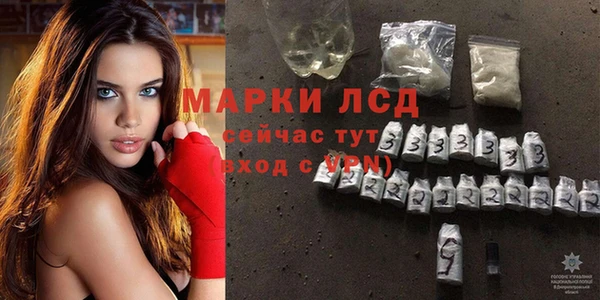 дмт Новокубанск
