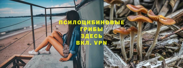 прущие крисы Медвежьегорск