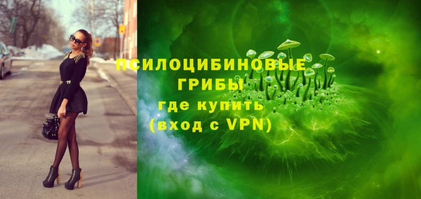 прущие крисы Медвежьегорск