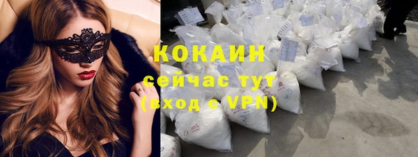 стаф Новозыбков